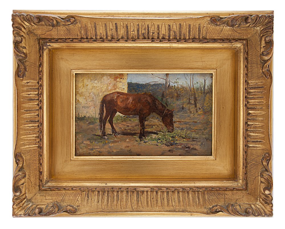 sebastiano de albertis: Cavallo al pascolo